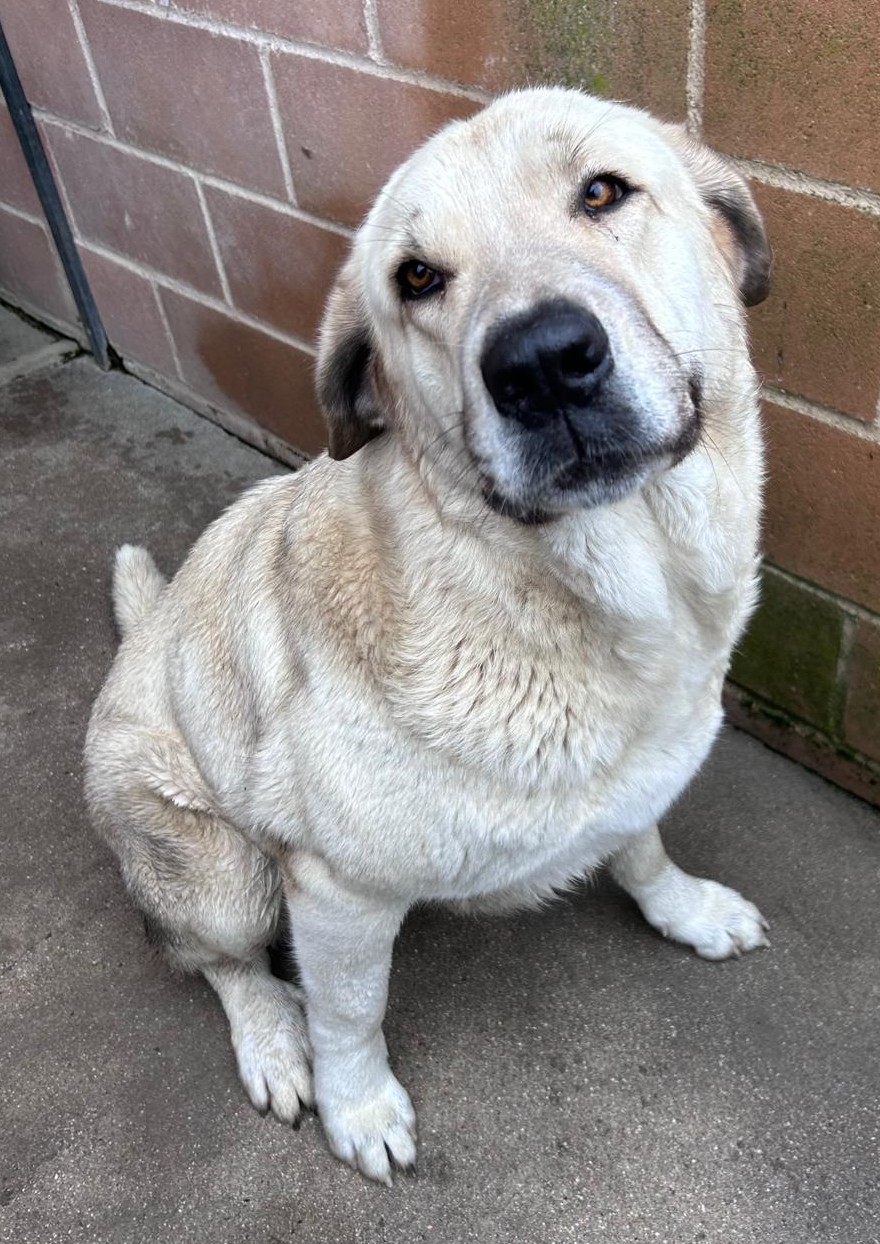 <h3 style="color:#005b98"> Fotografía </h3>