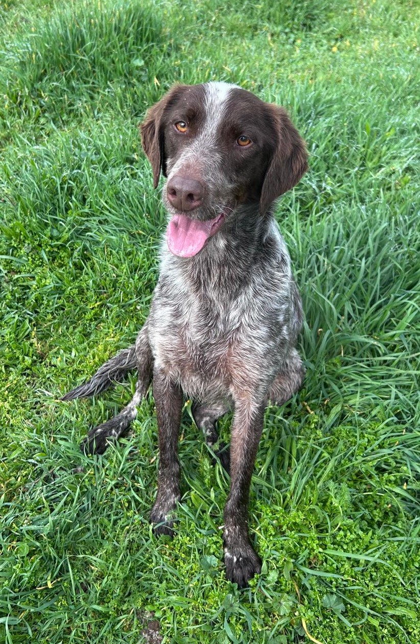 <h3 style="color:#005b98"> Fotografía </h3>