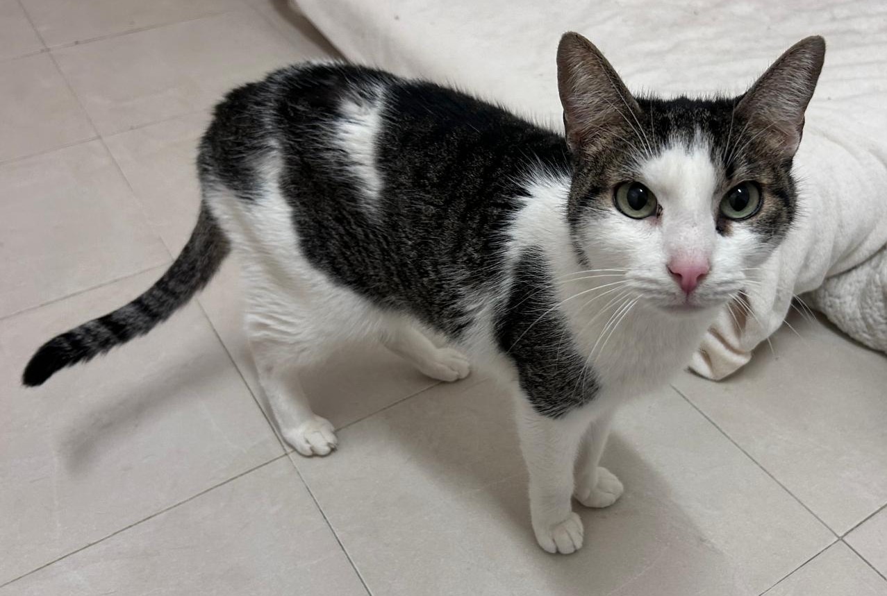 <h3 style="color:#005b98"> Fotografía </h3>