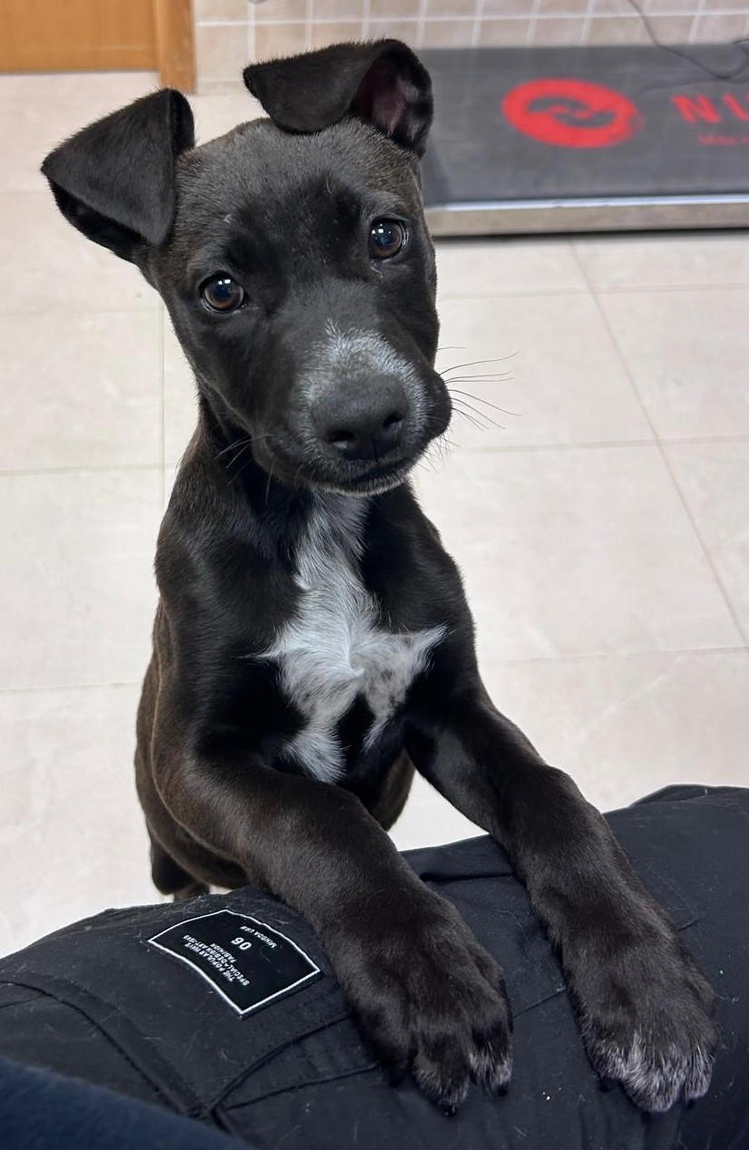 <h3 style="color:#005b98"> Fotografía </h3>