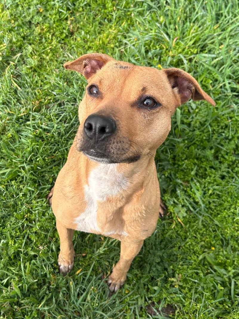 <h3 style="color:#005b98"> Fotografía </h3>