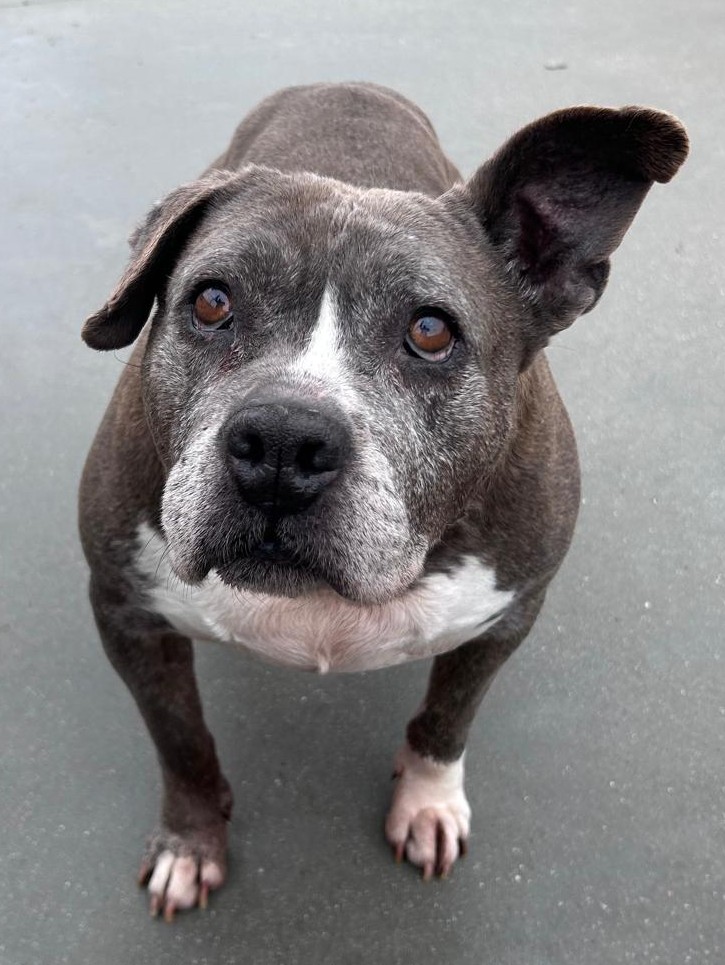 <h3 style="color:#005b98"> Fotografía </h3>