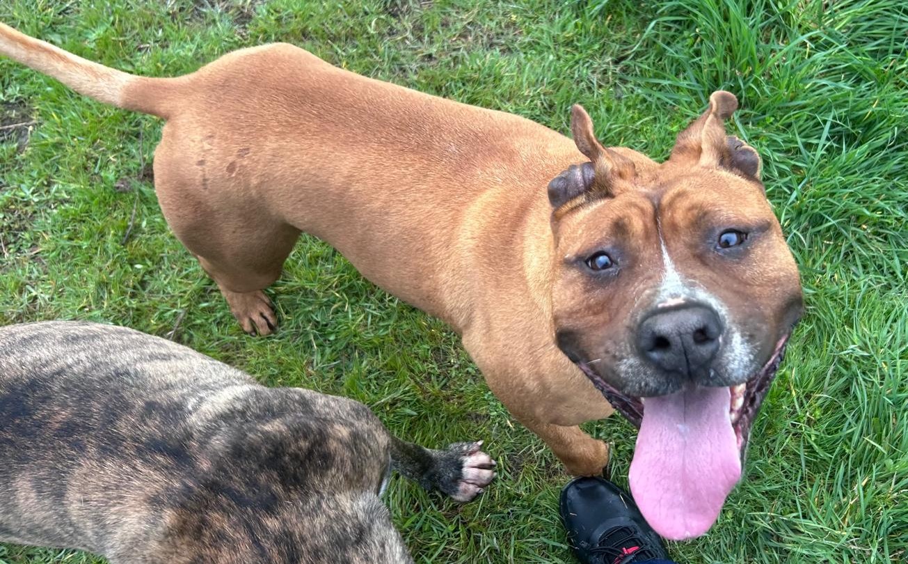 <h3 style="color:#005b98"> Fotografía </h3>