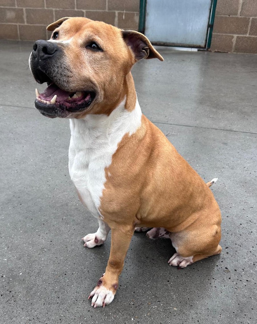 <h3 style="color:#005b98"> Fotografía </h3>