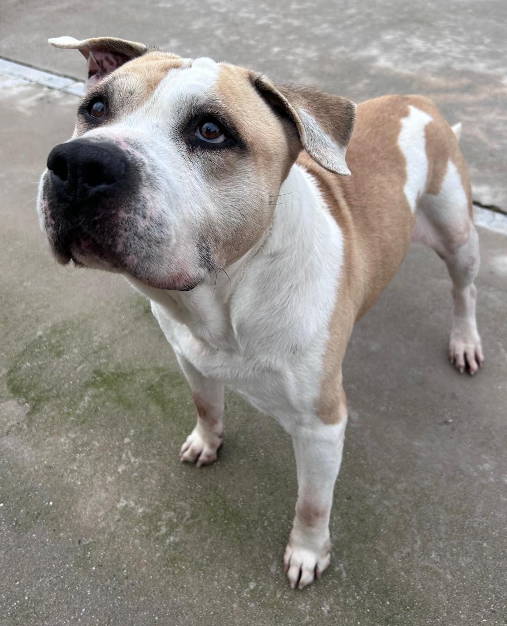 <h3 style="color:#005b98"> Fotografía </h3>