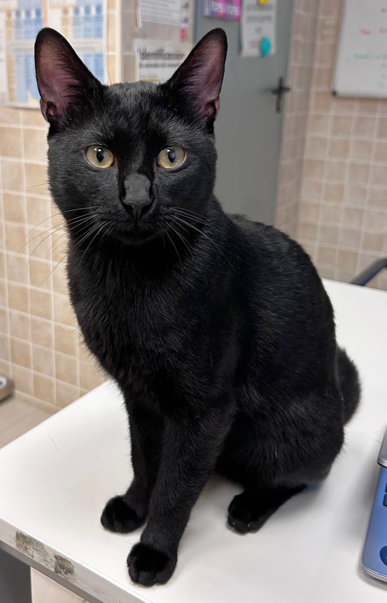 <h3 style="color:#005b98"> Fotografía </h3>