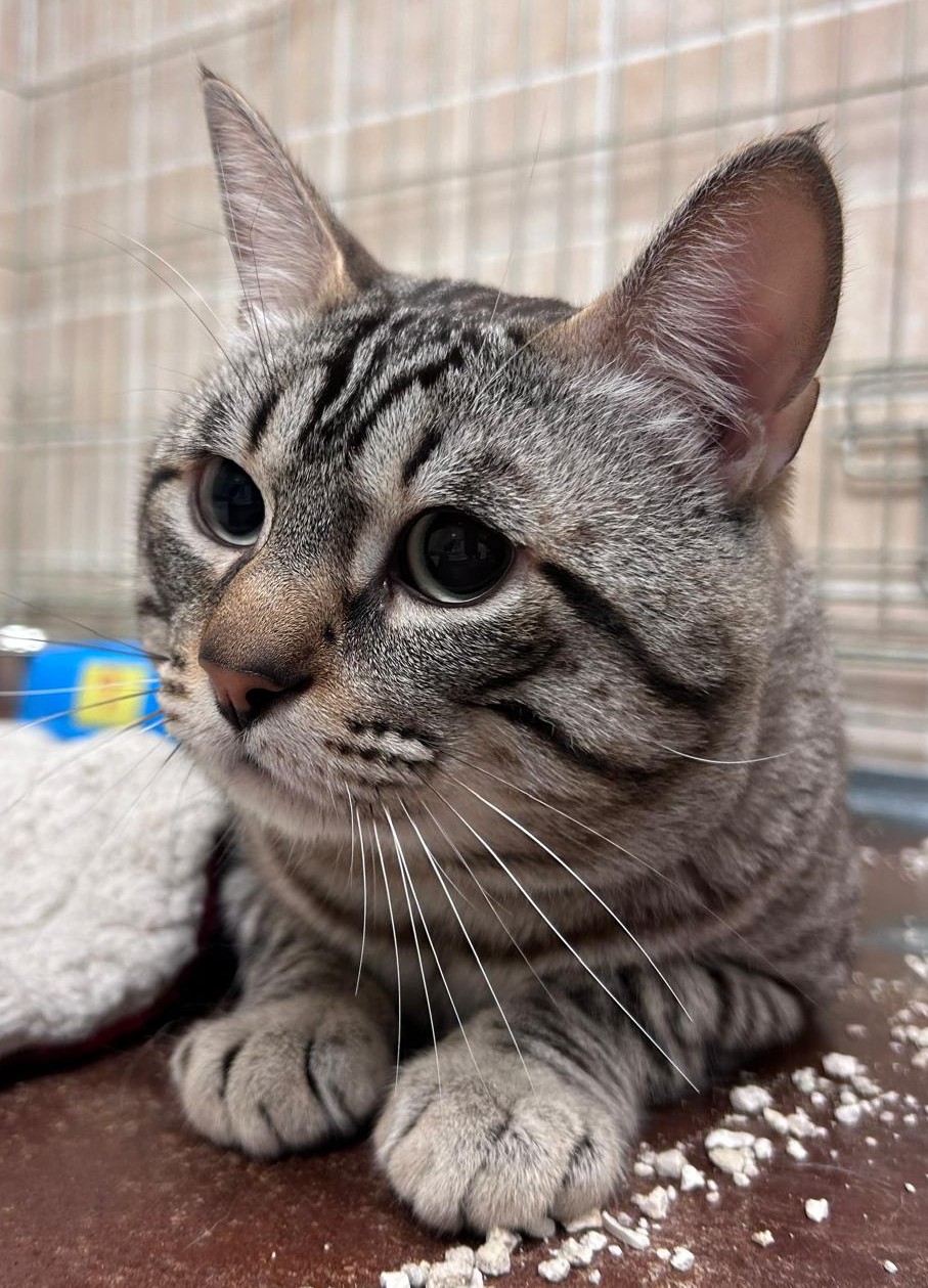 <h3 style="color:#005b98"> Fotografía </h3>