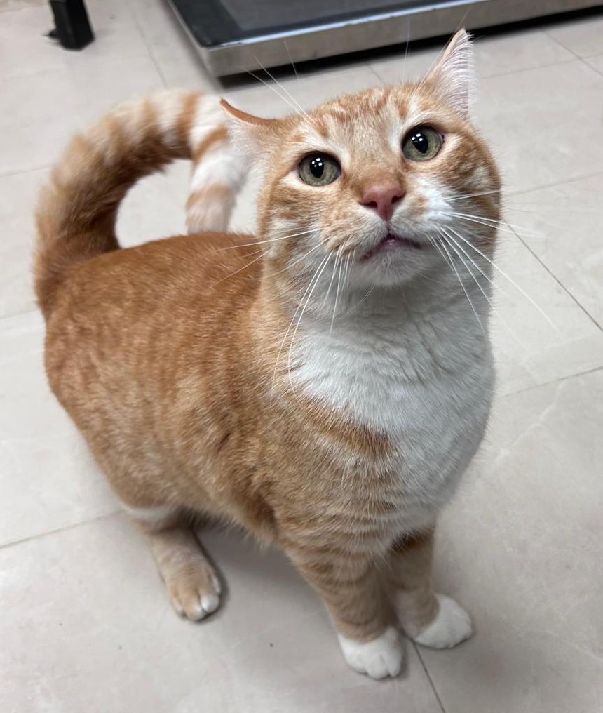 <h3 style="color:#005b98"> Fotografía </h3>