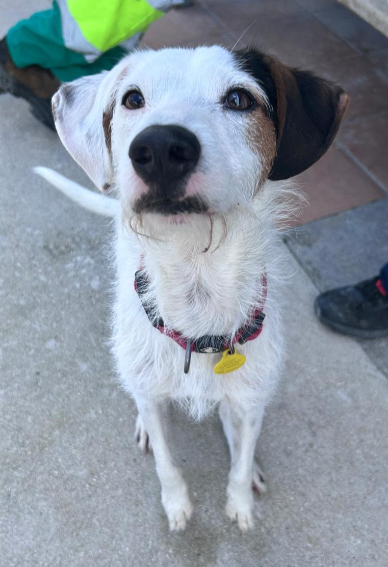 <h3 style="color:#005b98"> Fotografía </h3>