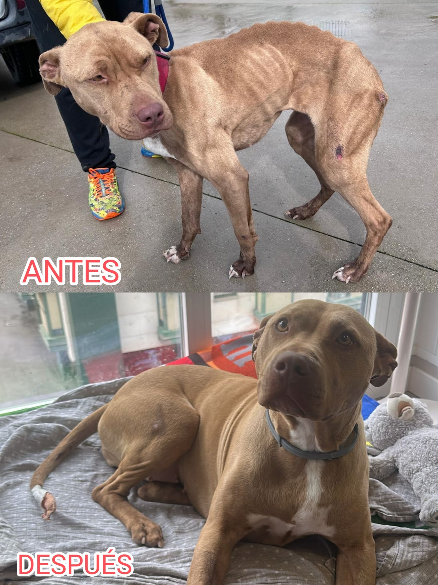 <h3 style="color:#005b98"> Fotografía </h3>