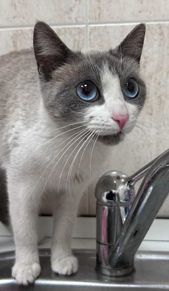 <h3 style="color:#005b98"> Fotografía </h3>