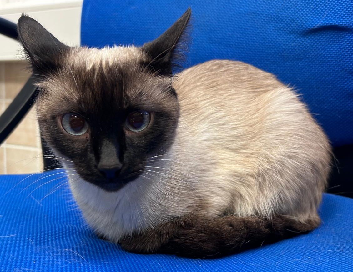 <h3 style="color:#005b98"> Fotografía </h3>