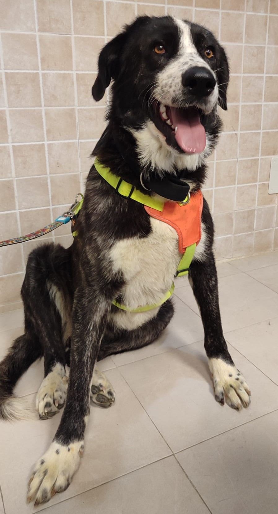 <h3 style="color:#005b98"> Fotografía </h3>