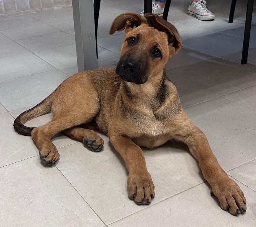 <h3 style="color:#005b98"> Fotografía </h3>