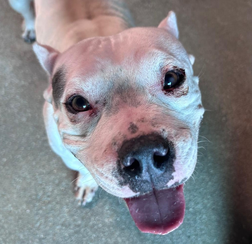 <h3 style="color:#005b98"> Fotografía </h3>