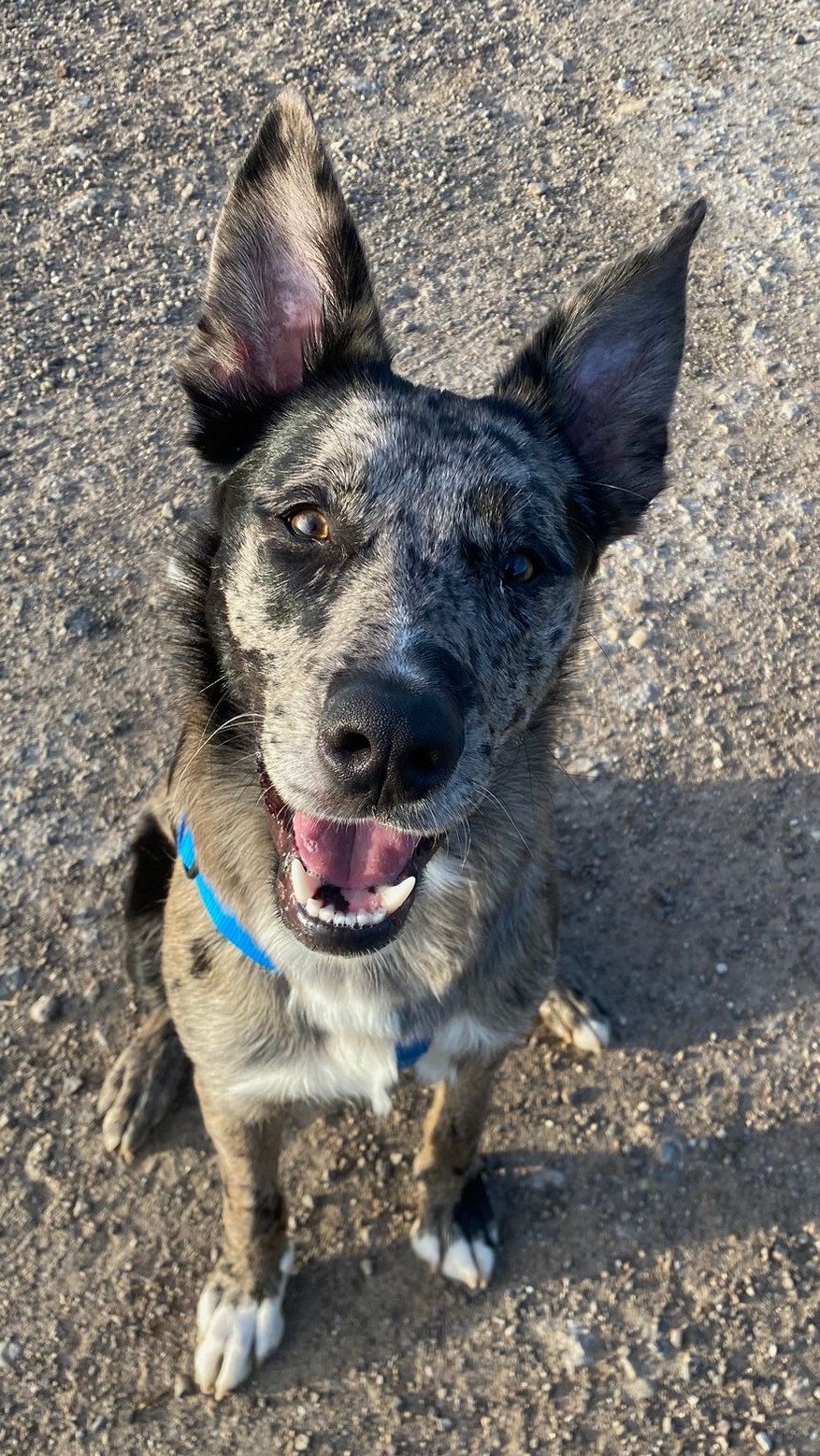 <h3 style="color:#005b98"> Fotografía </h3>