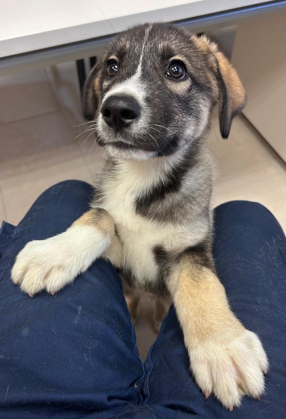 <h3 style="color:#005b98"> Fotografía </h3>