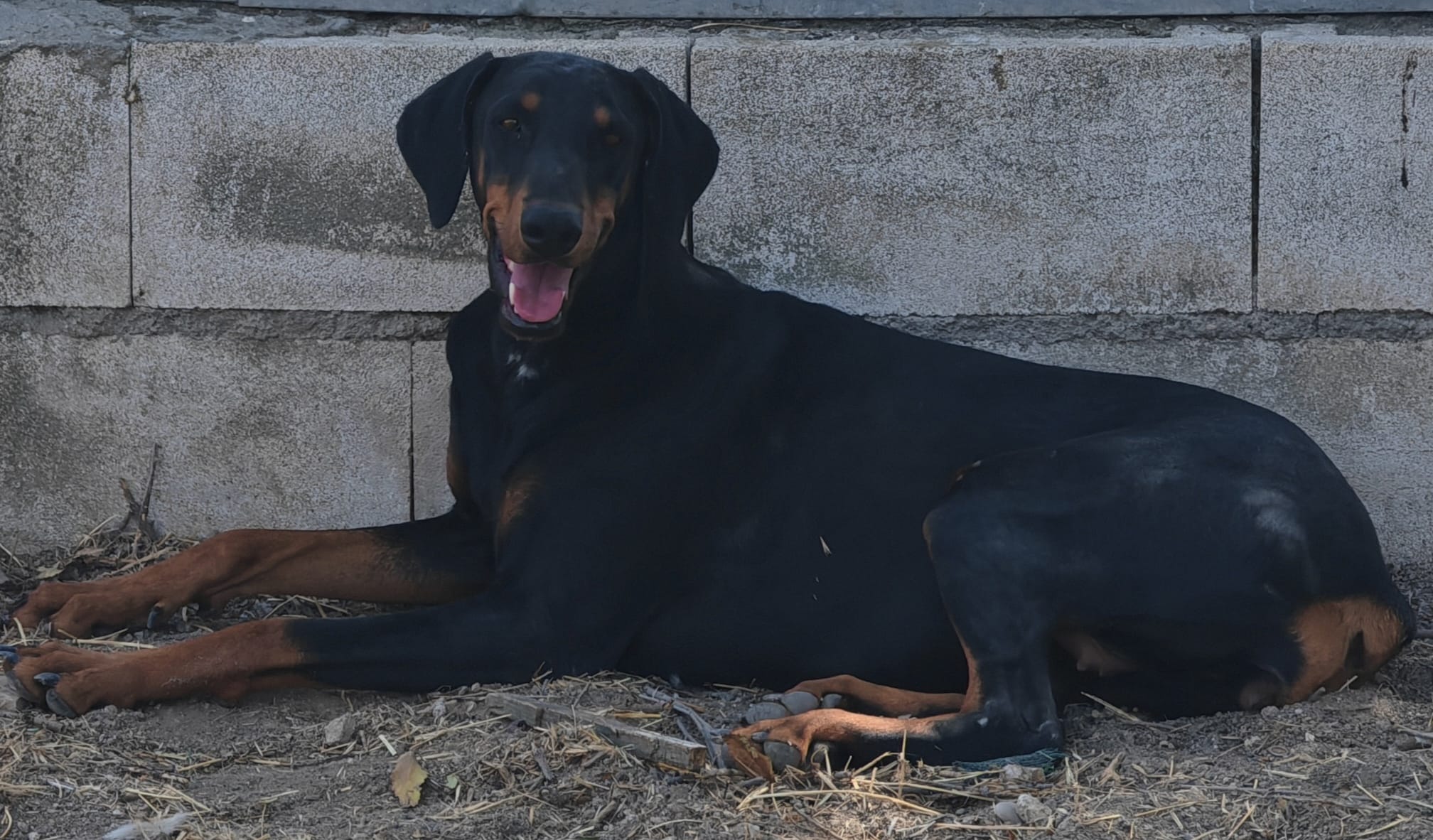 <h3 style="color:#005b98"> Fotografía </h3>