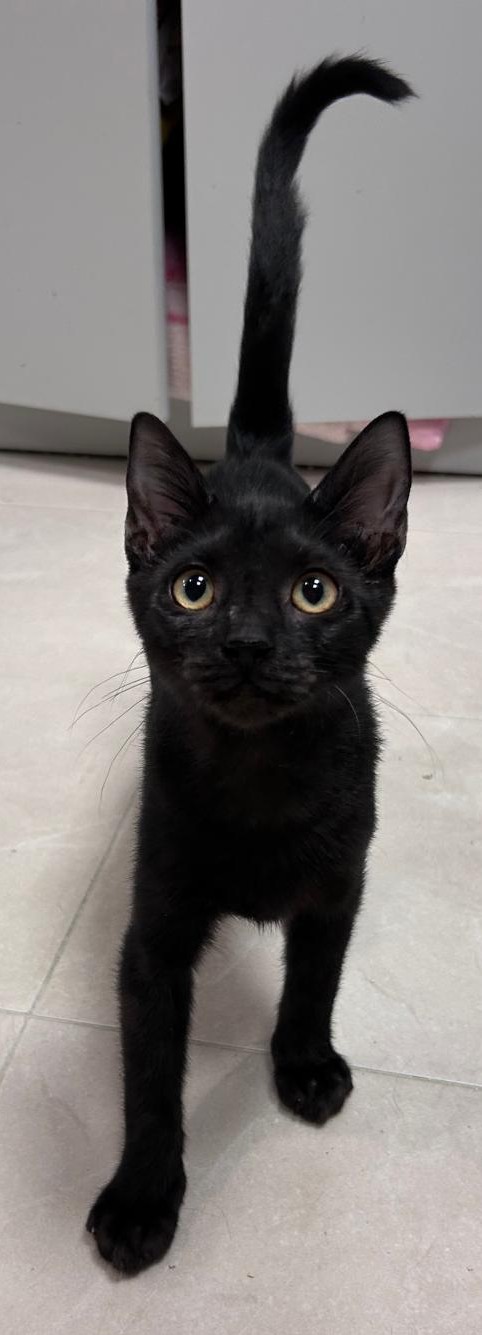 <h3 style="color:#005b98"> Fotografía </h3>