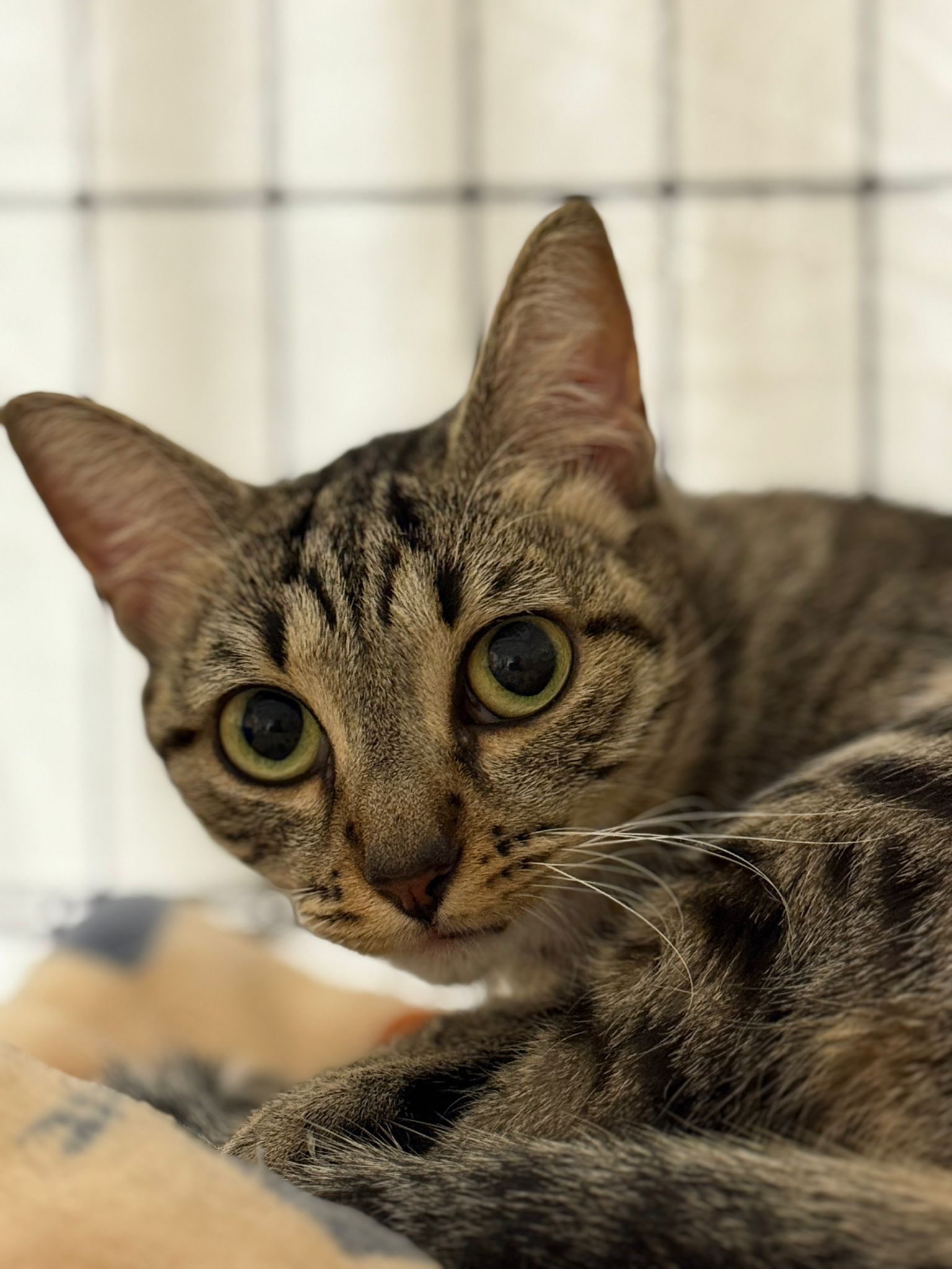 <h3 style="color:#005b98"> Fotografía </h3>