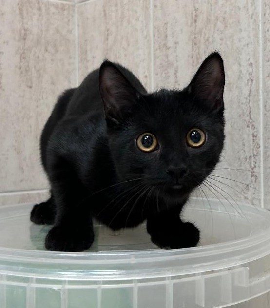 <h3 style="color:#005b98"> Fotografía </h3>