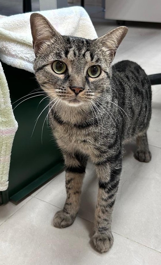 <h3 style="color:#005b98"> Fotografía </h3>