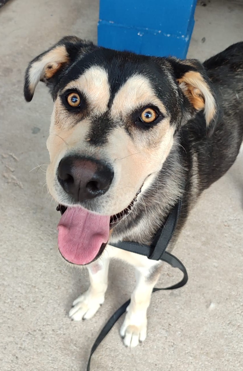 <h3 style="color:#005b98"> Fotografía </h3>