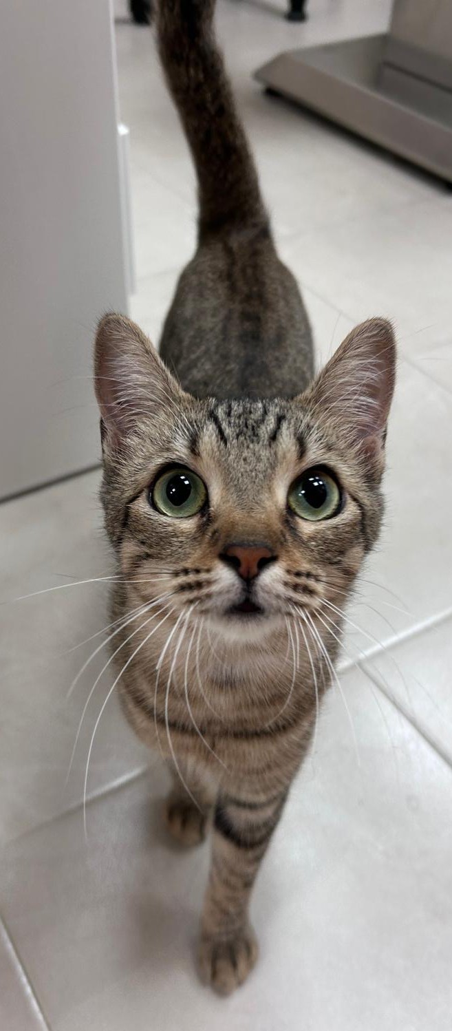 <h3 style="color:#005b98"> Fotografía </h3>