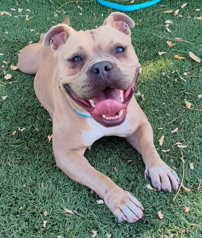 <h3 style="color:#005b98"> Fotografía </h3>