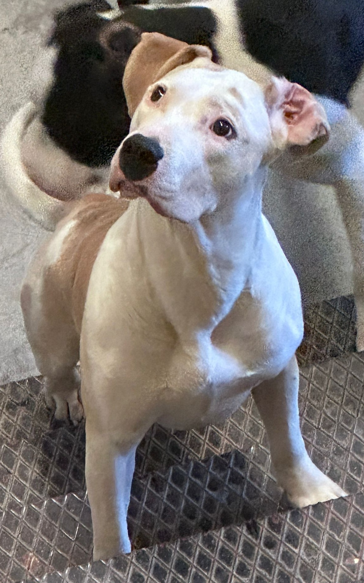 <h3 style="color:#005b98"> Fotografía </h3>