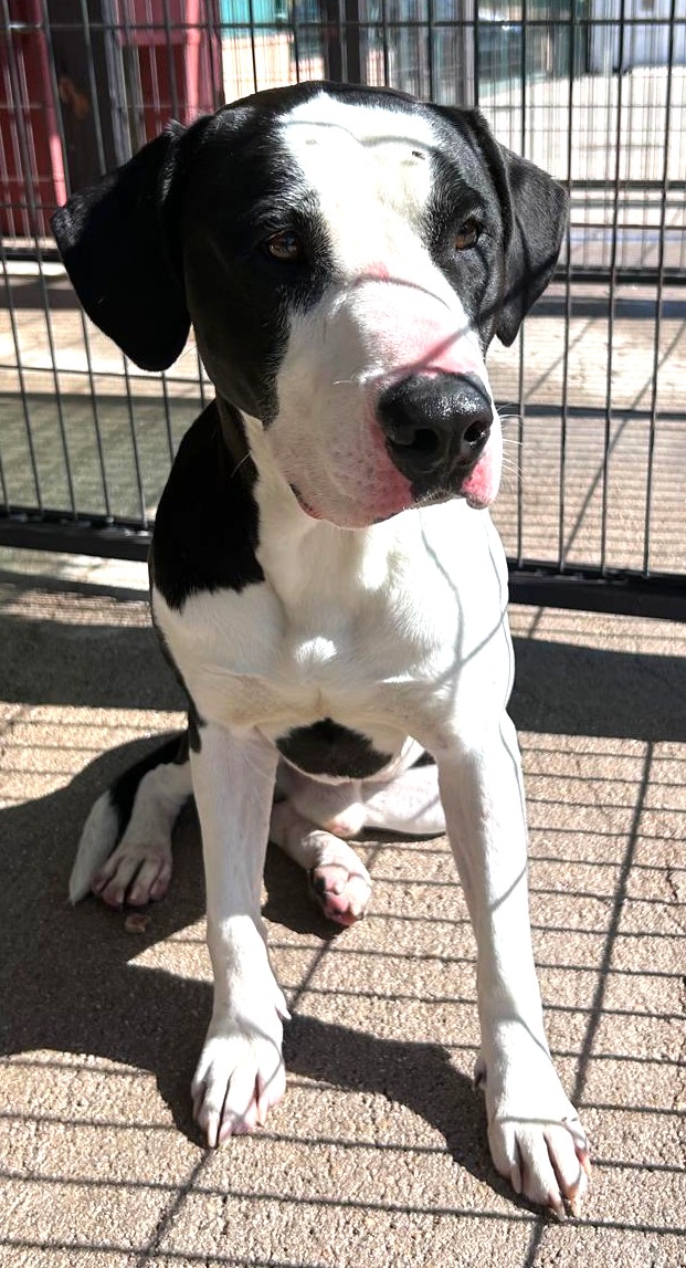 <h3 style="color:#005b98"> Fotografía </h3>