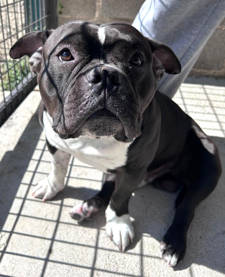 <h3 style="color:#005b98"> Fotografía </h3>