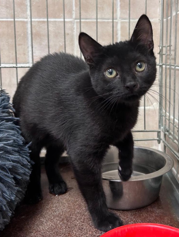 <h3 style="color:#005b98"> Fotografía </h3>