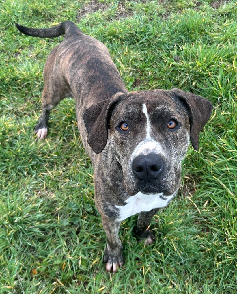 <h3 style="color:#005b98"> Fotografía </h3>