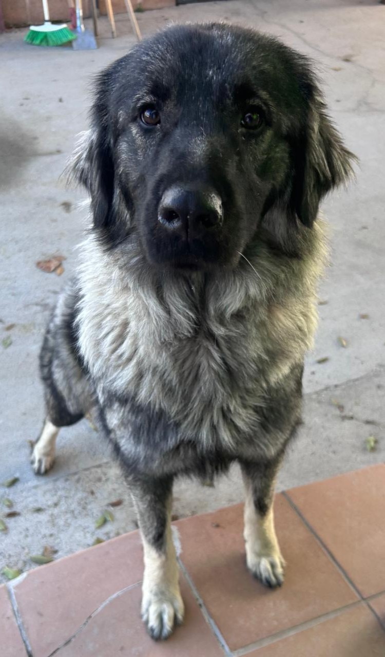 <h3 style="color:#005b98"> Fotografía </h3>