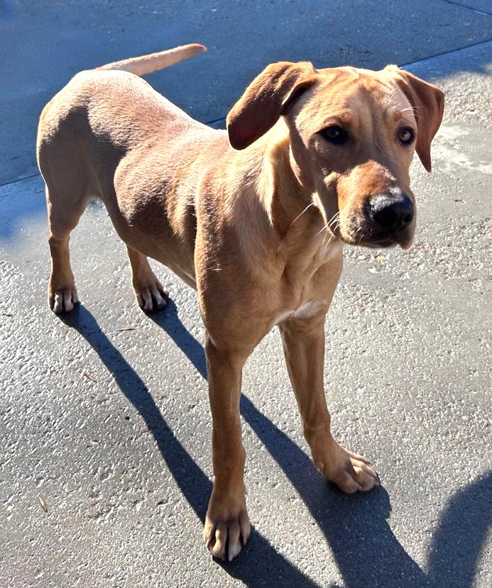 Fotografía Principal