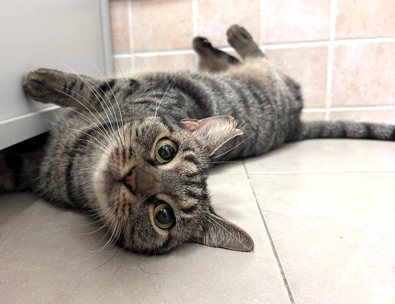 <h3 style="color:#005b98"> Fotografía </h3>