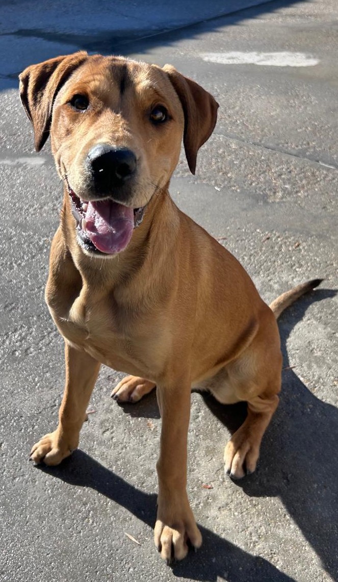 Fotografía Principal