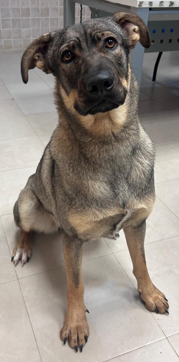 <h3 style="color:#005b98"> Fotografía </h3>