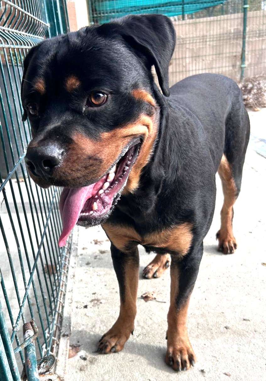 <h3 style="color:#005b98"> Fotografía </h3>