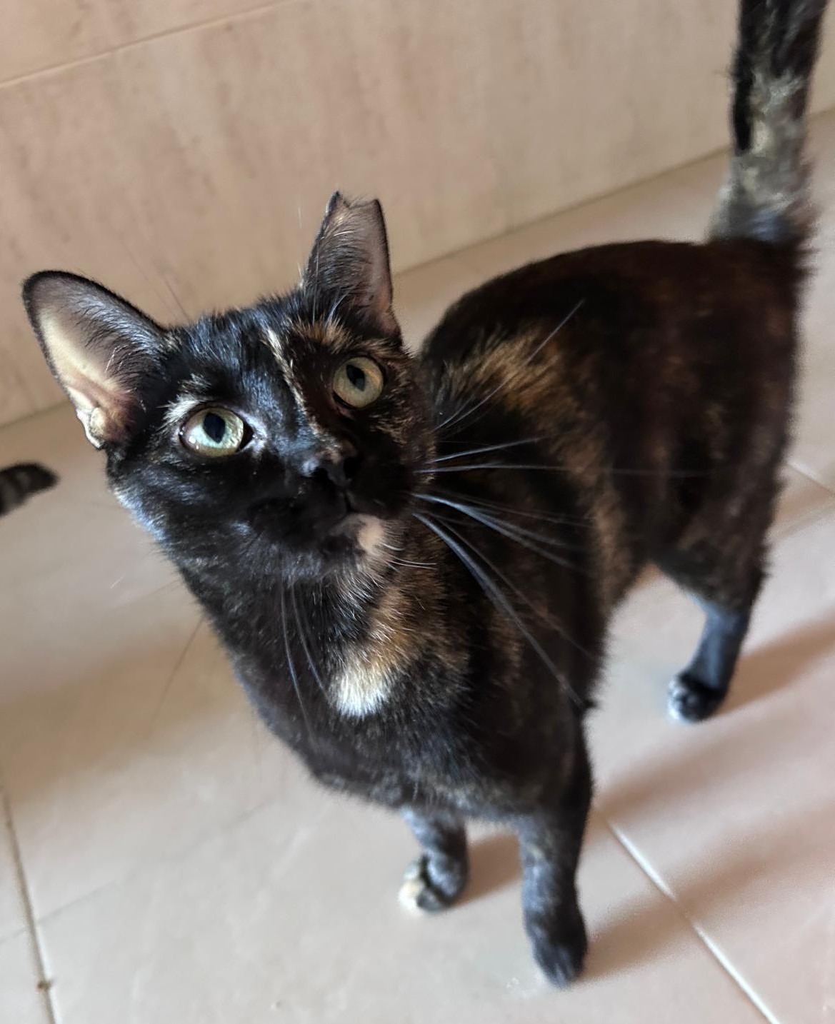 <h3 style="color:#005b98"> Fotografía </h3>