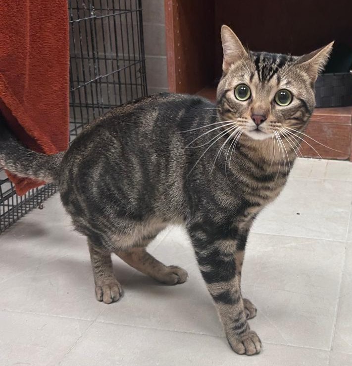 Fotografía Principal