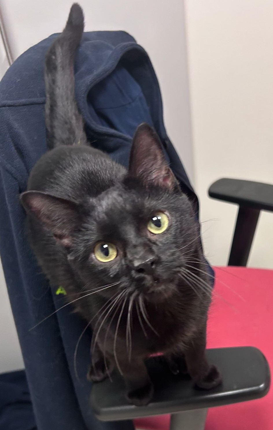 <h3 style="color:#005b98"> Fotografía </h3>