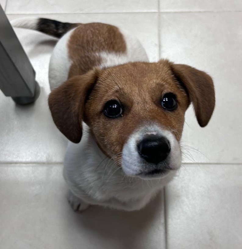 Fotografía Principal