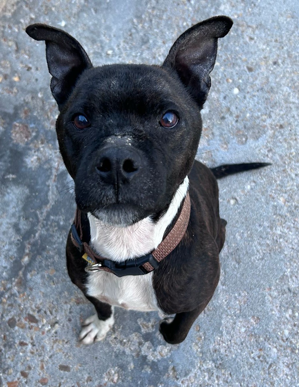 <h3 style="color:#005b98"> Fotografía </h3>