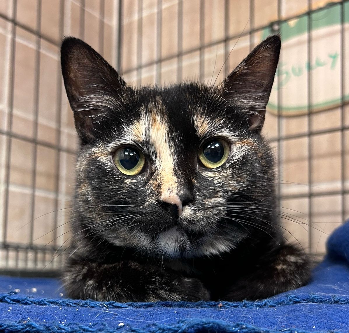 Fotografía Principal