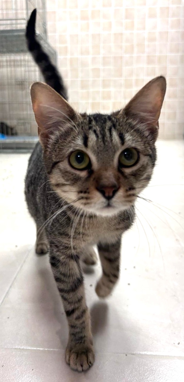 <h3 style="color:#005b98"> Fotografía </h3>