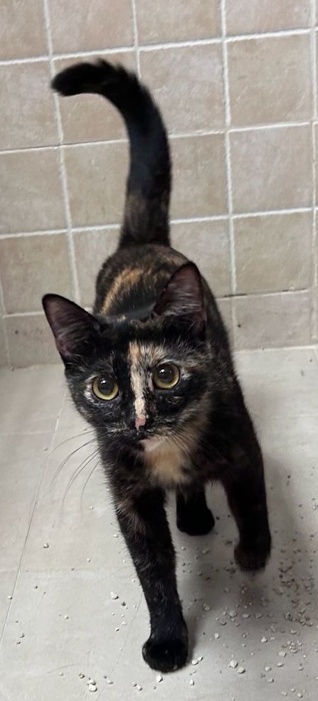 <h3 style="color:#005b98"> Fotografía </h3>