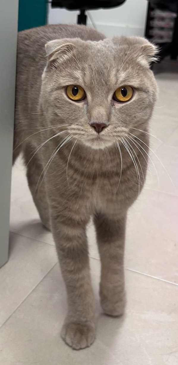 <h3 style="color:#005b98"> Fotografía </h3>