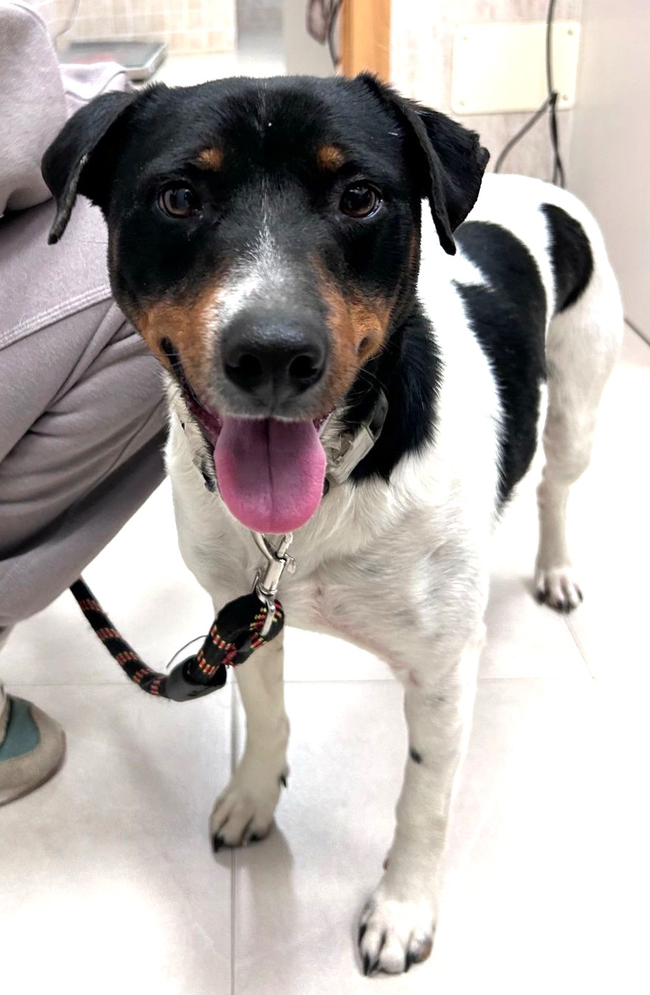 <h3 style="color:#005b98"> Fotografía </h3>